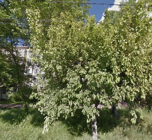 Отделение Восточного Экспресс Банка по адресу пр. 60-летия Октября, д. 82