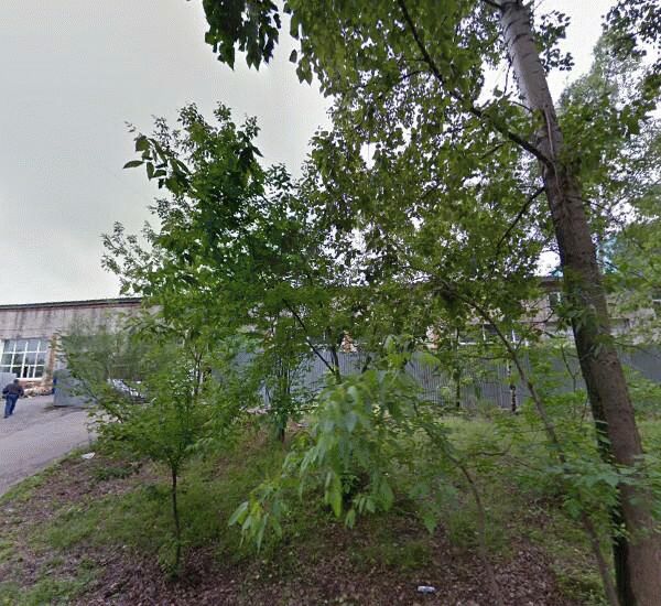 Отделение банка ВТБ по адресу ул. Тихоокеанская, д. 169 